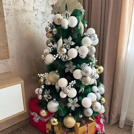 Raya Apartment Pamporovo